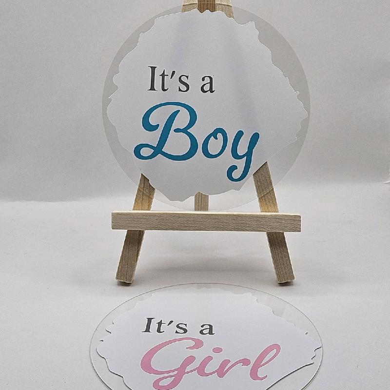 Personalized Baby Gender Sign - 10cm Round Acrylic Disc (Pink/Blue) - Decor 3