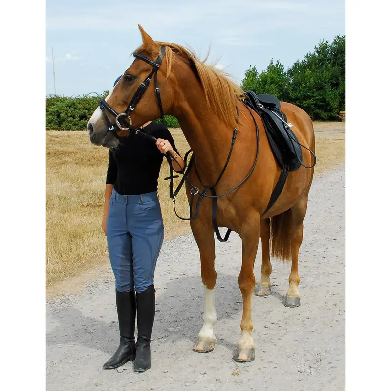 Windsor Running Martingale 0