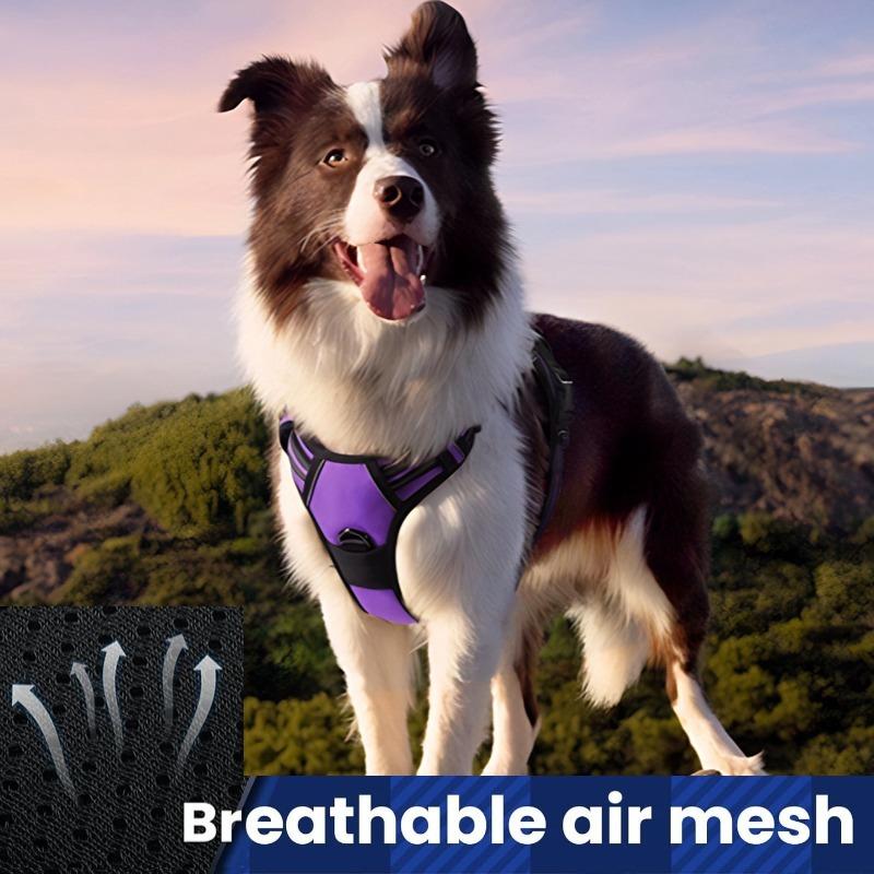 Dog Harness No Pull with 2 Leash Clips, Adjustable Soft Padded, Reflective Oxford No Choke Pet Vest with Easy Control Handle for Large Dogs 2