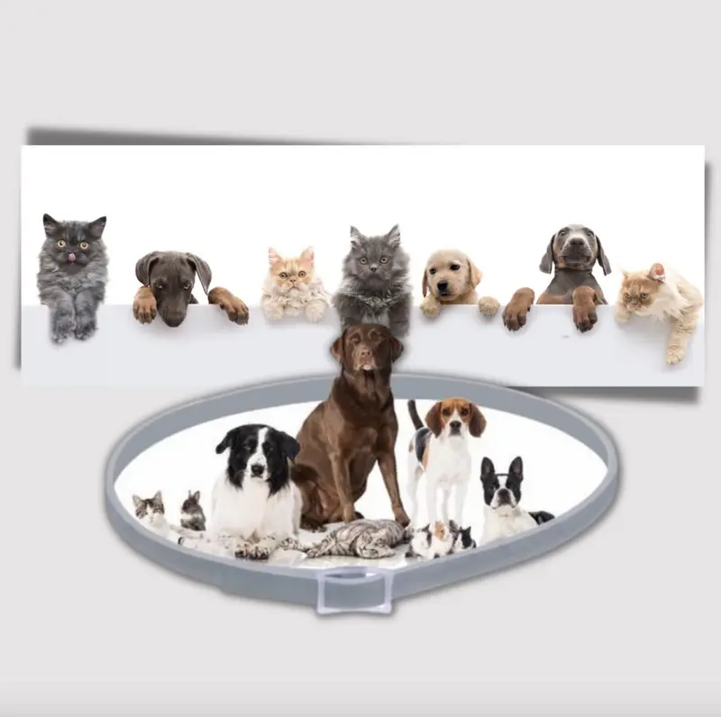 Anti-Flea Collar for Pets，Effective and Convenient for Puppy Love, Portal and Cost-effective 4