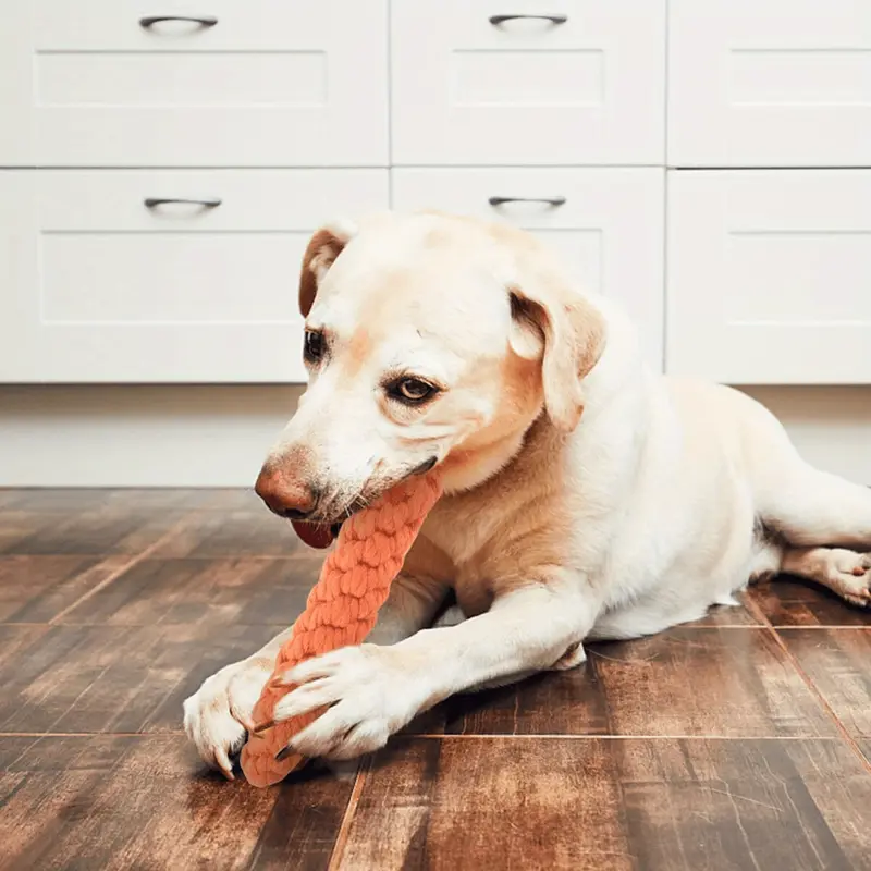Interactive Dog Chew Toy for Small Breeds - Durable Carrot-Shaped Fabric Tug of War Rope Toy with Tassel for Teeth Grinding and Play, Suitable for Aggressive Chewers 6