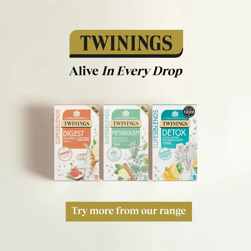 Twinings Superblends Digest Spearmint Tea Bag 1x20 Bags 6
