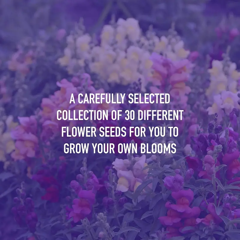 Flower Seed Variety Pack - 30 Different Varieties of Flower Seeds to Grow Your Own. Butterfly and Bee Attracting, Grow Indoor and Outdoor. Christmas Gifts for Women and Men 6