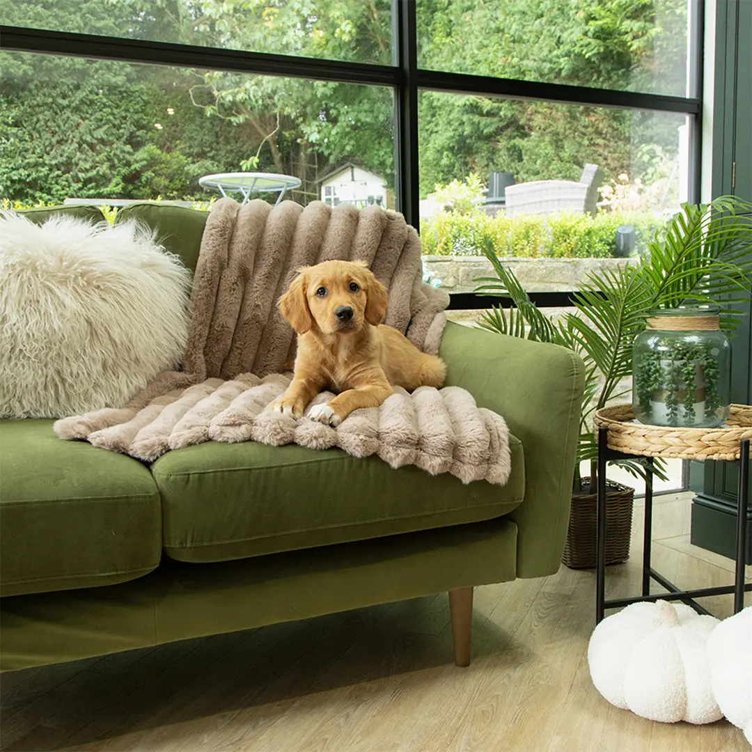 Scruffs - Aspen human and dog blanket - Available in Cream and Taupe