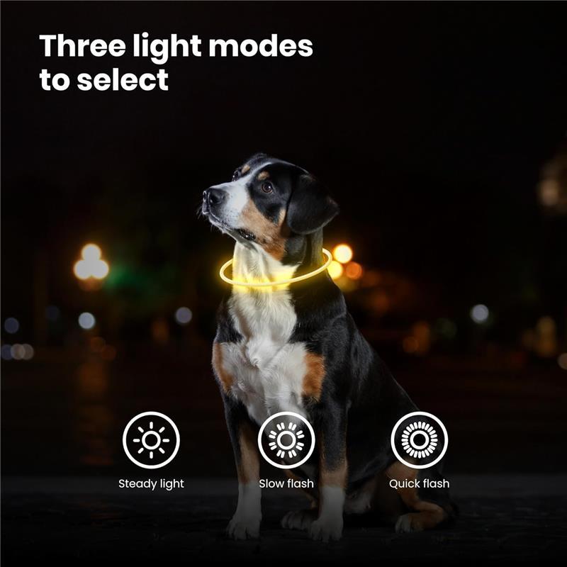 Ultra Bright USB Rechargeable LED Dog Safety Collar - Perfect for Night Walks (Colour Name: Orange UltraBright) 4