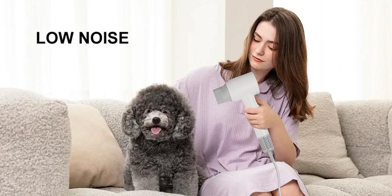 Product Introduction of ZYFEE Ionic High Speed Hairdryer - Salon Essential Quick Drying Hairdryer for Women & Men, Powered by 110,000 RPM Brushless Motor, Delivers 21m/s Drying Speed, Equipped with Low Noise, Temperature Control and Energy Efficiency 4