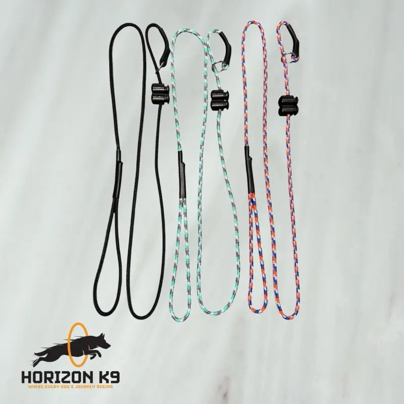 Extra Strong Slip Lead for Dogs - Durable and Secure Leash for Training and Control