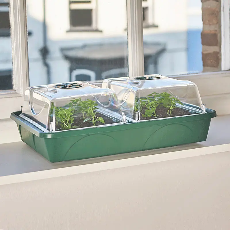 EarlyGrow Unheated 2-Bay Medium Propagator - Perfect for Growing Your Own 1