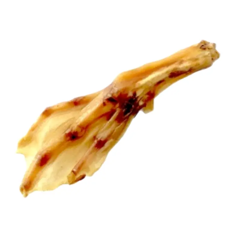 Duck feet