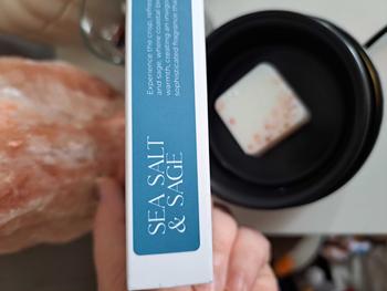 Product Review of Sea Salt & Sage Wax Melts from H**n S**t b** J**e 0