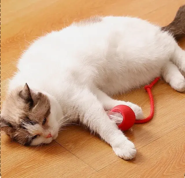 [UK Seller 48hr Delivery] Electric Cat Ball Toy Interactive with Rope Cat Teaser, Automatic Rolling Ball, Pet Chasing Toy Pet Supplies, Dog & Cat Accessories, Christmas Gift, Kitten Puppy Toy Chase Fun 8