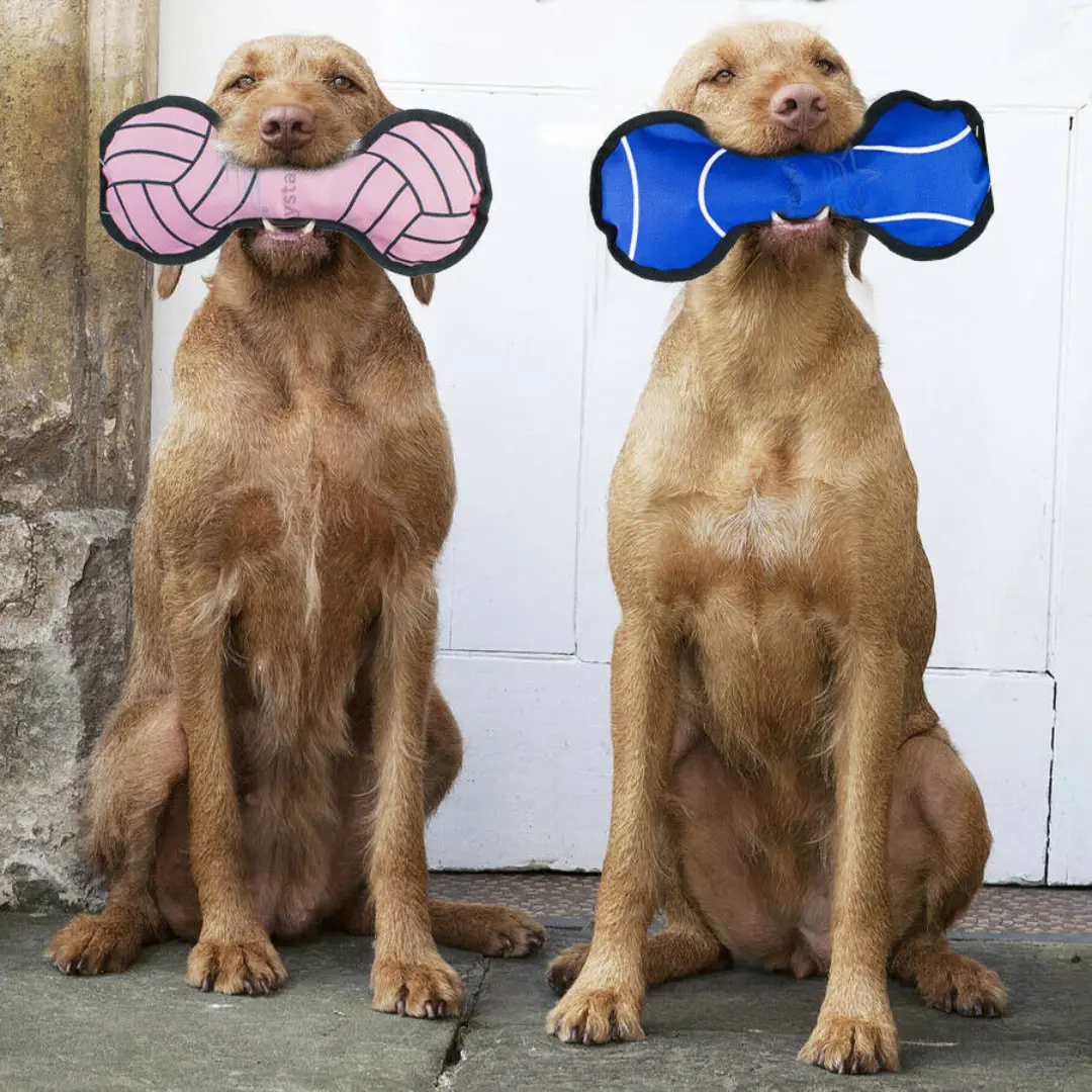 Heavy Duty Squeaky Dog Bone Toy - Durable and Non-Toxic - 27cm Length - Assorted Colors - Ideal for Interactive Play