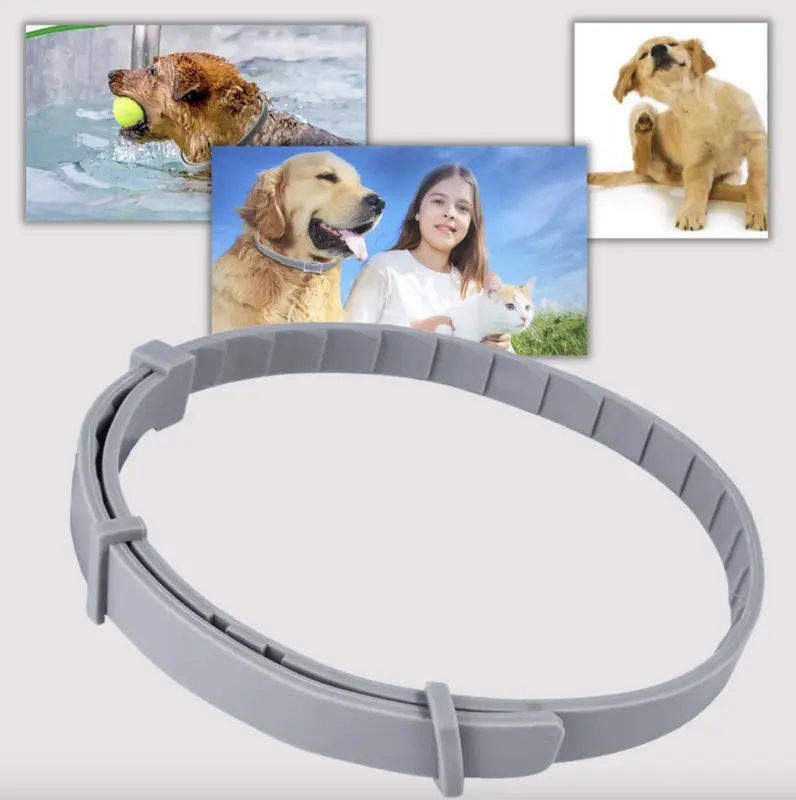 Anti-Flea Collar for Pets，Effective and Convenient for Puppy Love, Portal and Cost-effective 2