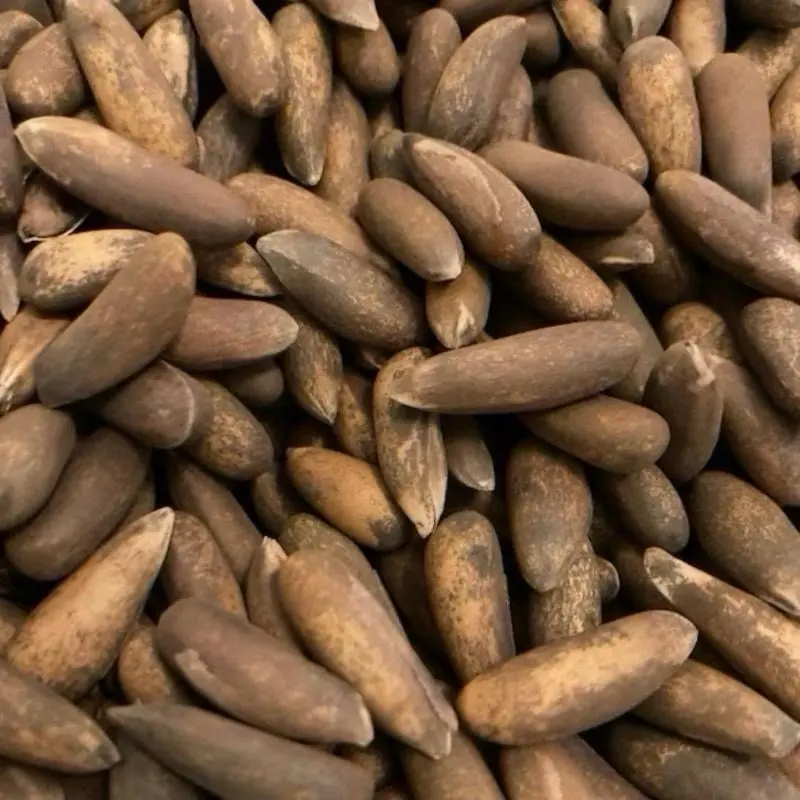 Afghan Chalghoza (1kg)