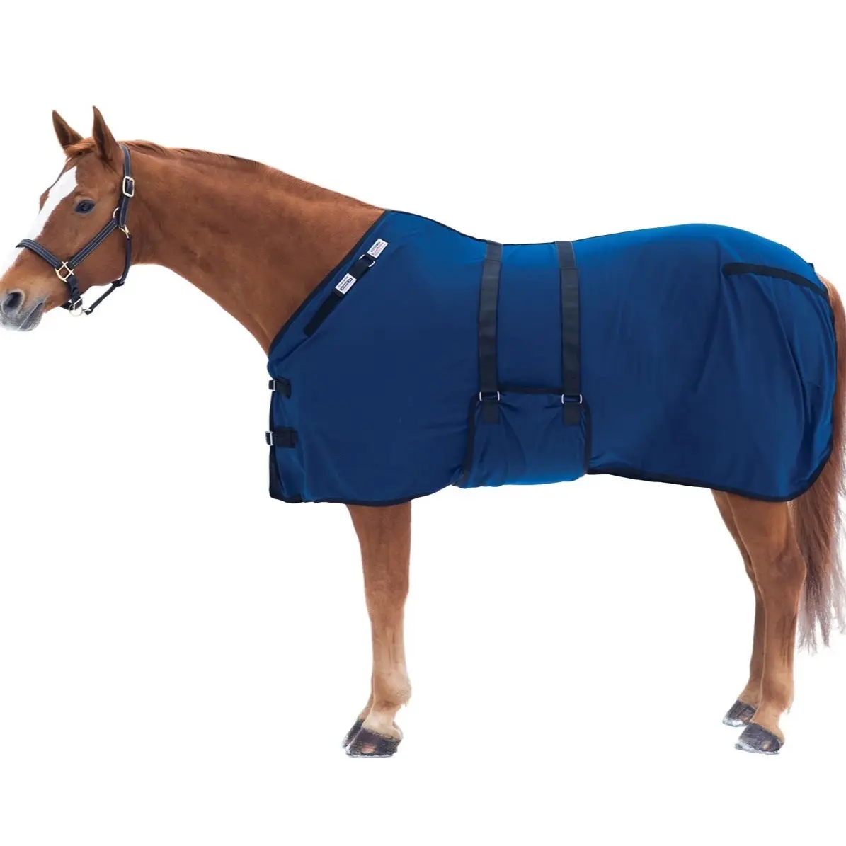 Rapid-Dry Standard cut neck, with Bellyband. Featuring Coolpass Thread Technology