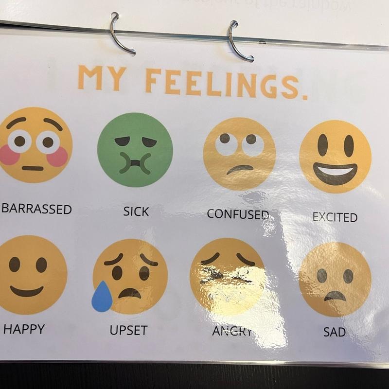 Feelings and emotions work book 3