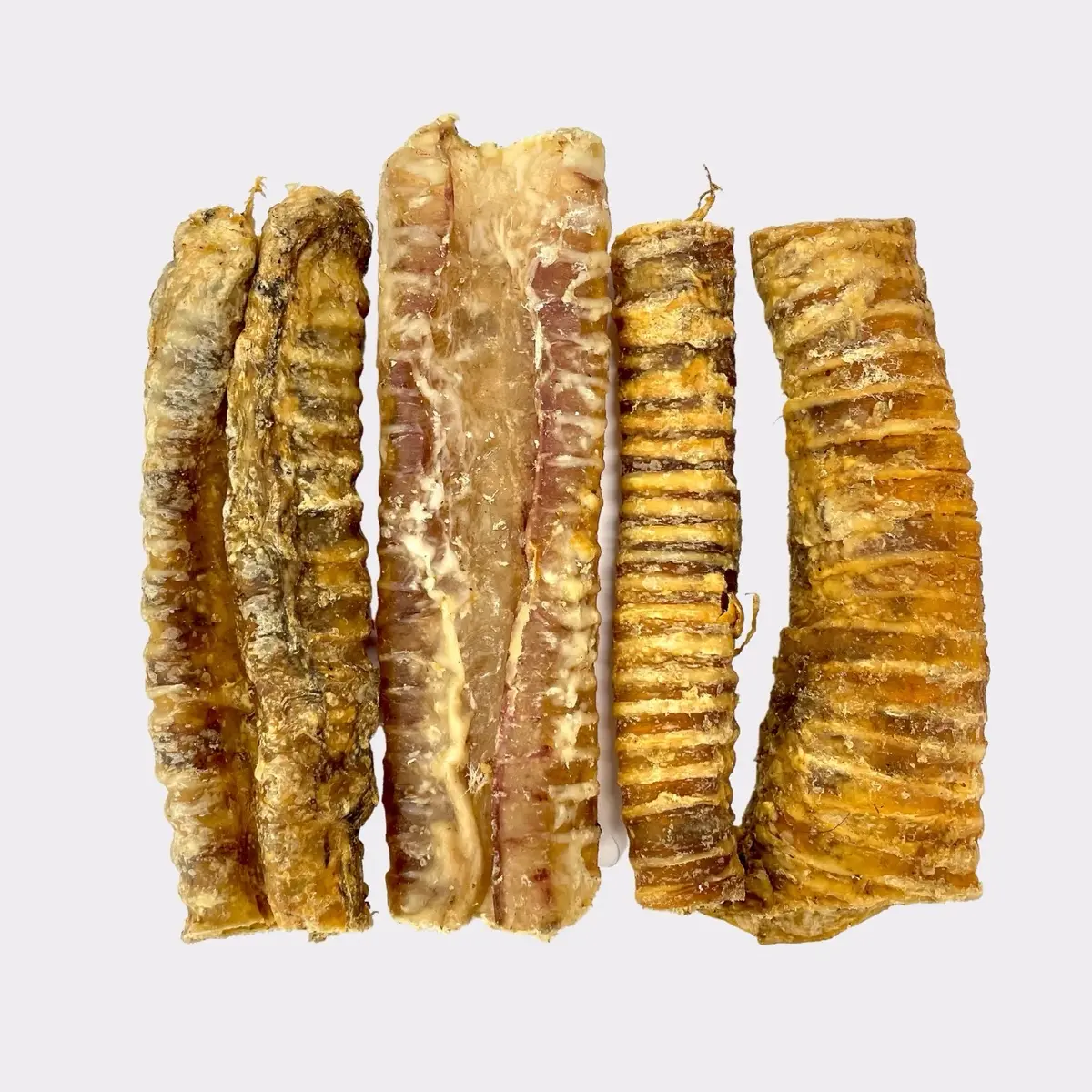 3 Trachea "Gullet" - Cut