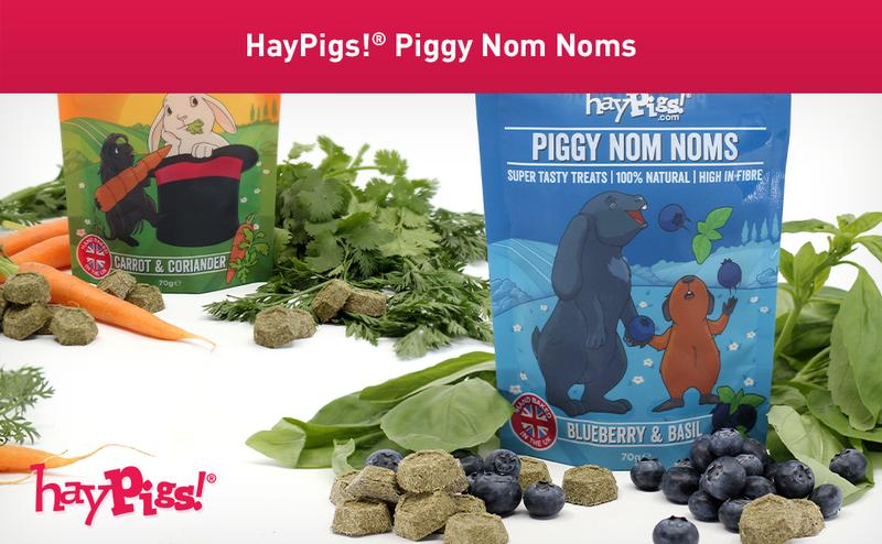 Product Introduction of HAYPIGS Piggy Nom Noms 1 x 70g Blueberry and Basil Natural Guinea Pig Treats with Guinea Pig Vitamin C - Also Perfect for Rabbit Treats 13