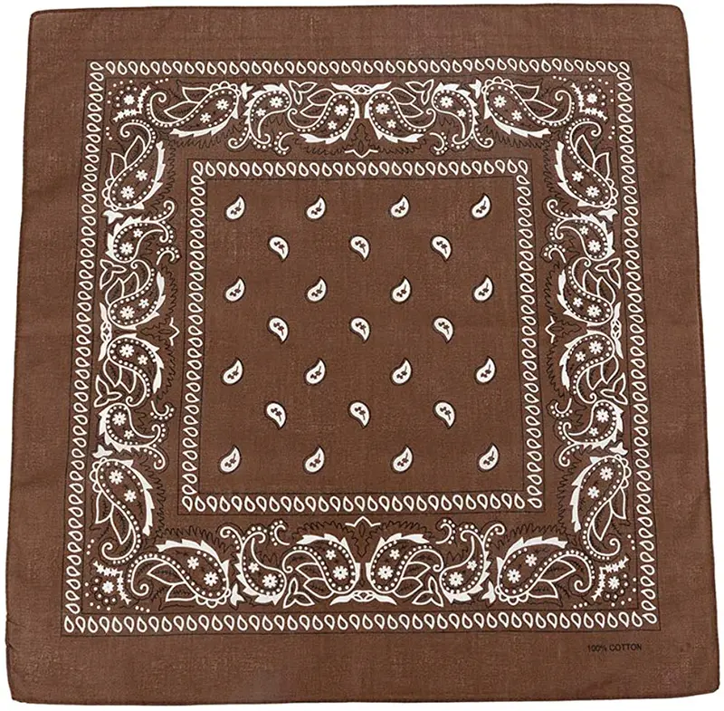 World of Shawls Cotton Paisley Bandanas Headband Scarf Print, Fashion Hair Accessory, Sports, Multifunctional 3