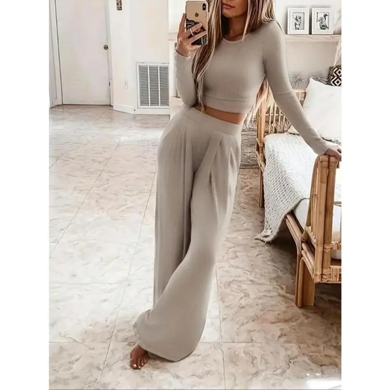 Two-Piece Set Women's Solid Color Top & Plicated Wide Leg Pants, Casual Fashion Cozy Round Neck Long Sleeve Top & Trousers for Daily Outdoor Wear, Women's Clothing for Fall & Winter