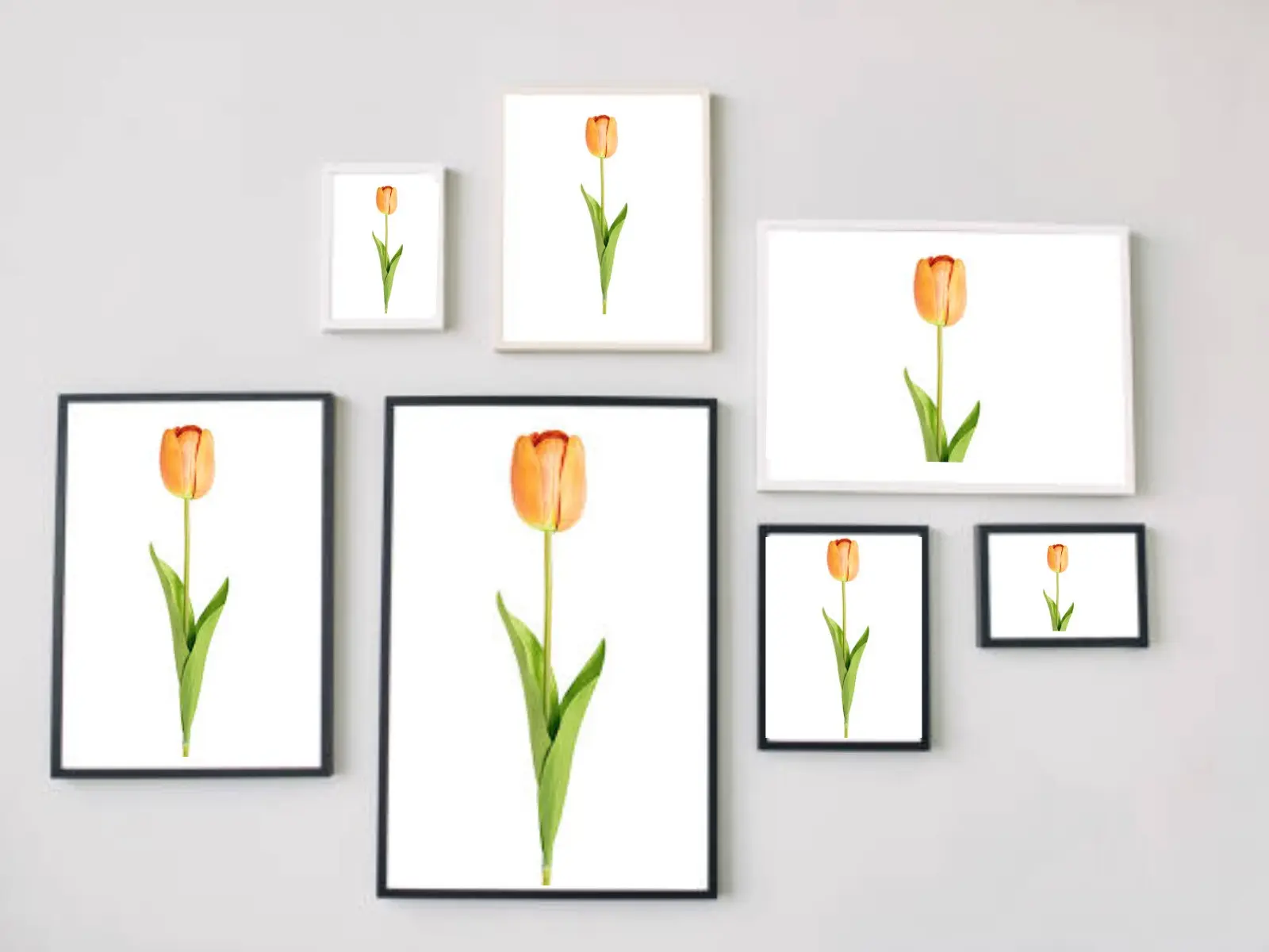 White & Black A1, A2, A3, A4, and A5  Photo Frames Tabletop and Wall Mounting Picture Frames with Plexiglass Window, Sleek Design Amazing Collection Of  Picture Frames For Home Office (Wall Hanging and Table top) picture  frames wooden  frame Decor Mdf