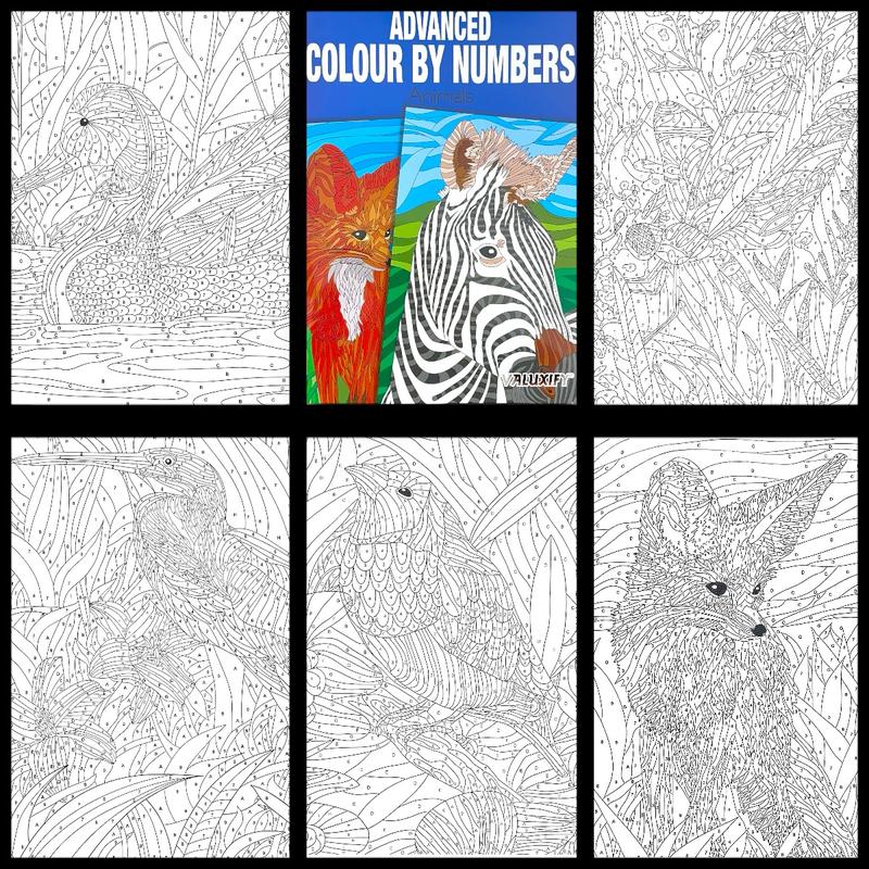 3X Colour by Numbers Adult Colouring Books - Pack of 3 coloring 8