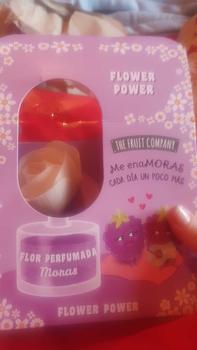 Product Review of The Fruit Company FLOWER Reed Diffuser - Strong, Long Lasting Scent | Spanish Cleaning Products | Cherry, Melon, Watermelon, Blackberries, Strawberries & Cream from a**e 0