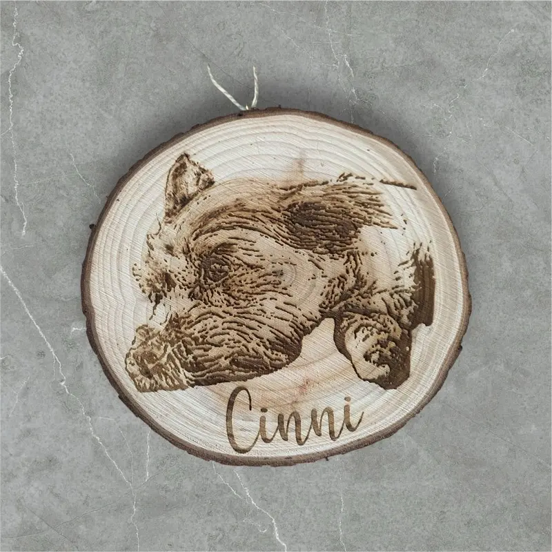 Personalised Pet Portrait Woodslice hanging decoration Decorative Gift Hangable Ornaments Room 4