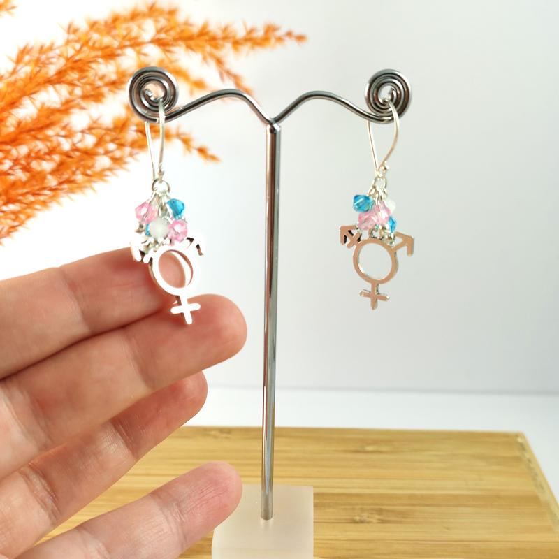 Trans Pride Earrings 2