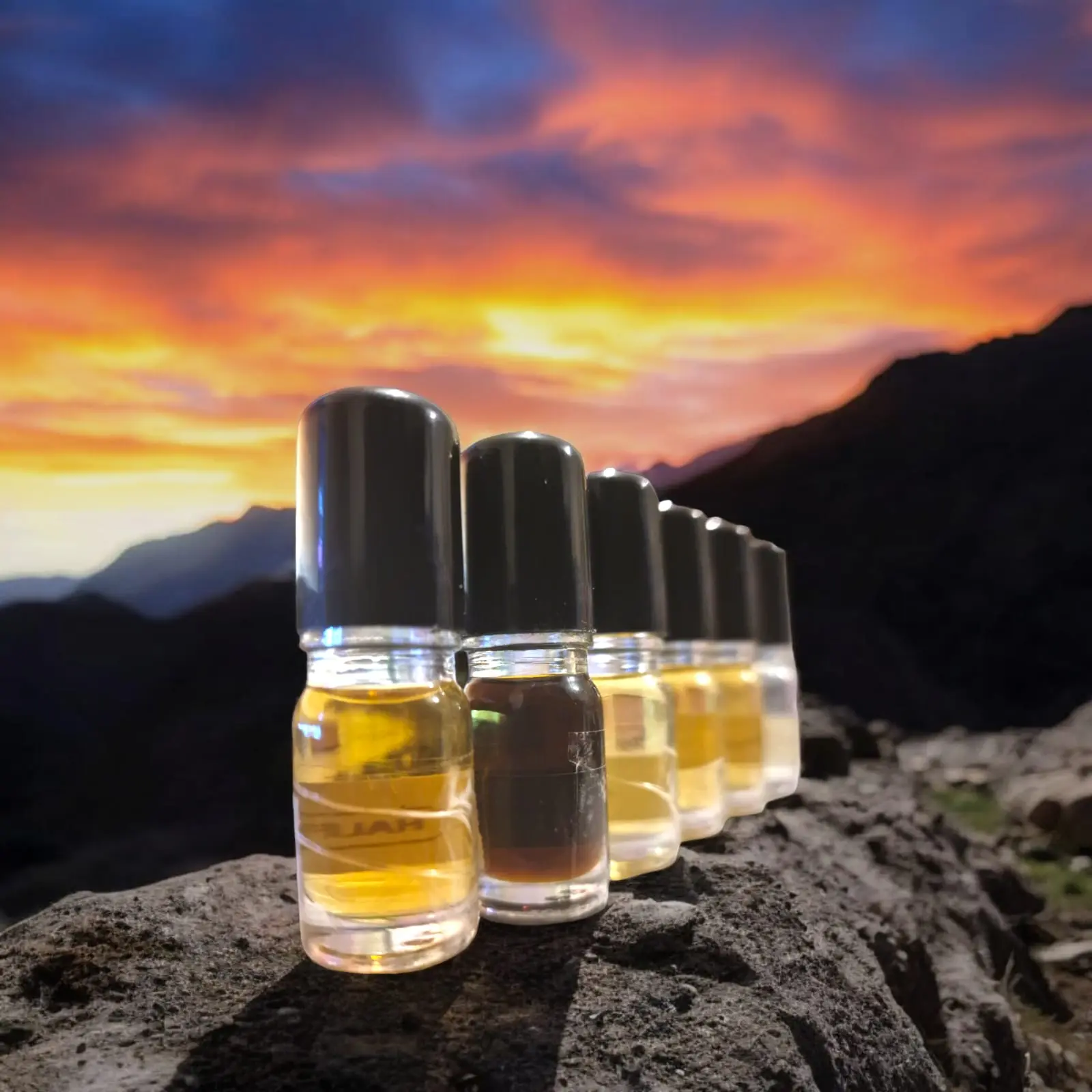 Beauty Madness Luxe Elixirs | Rich, Long-Lasting Fragrance Oils | 5ml Pure Extract Long Lasting Roller Ball Bottles