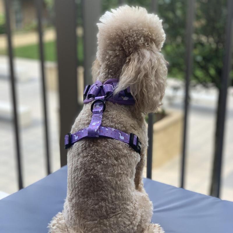 Daydreams and Unicorns Adjustable Dog Harness 6