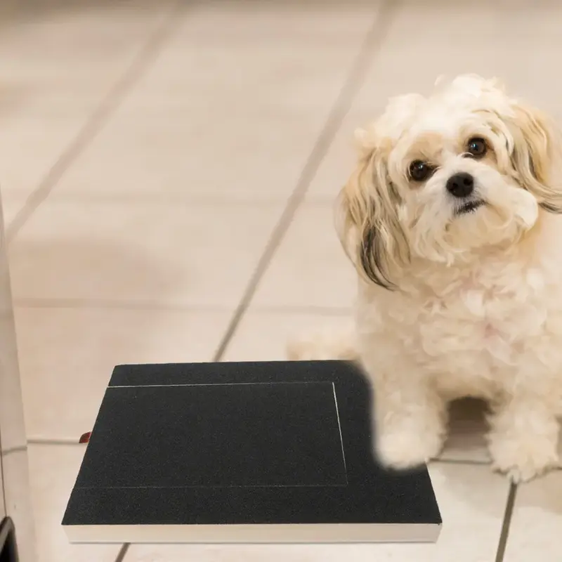 Non-Slip Pet Scratch Board with Food Storage Box for Dogs - Dog Scratch Pad for Nails 2