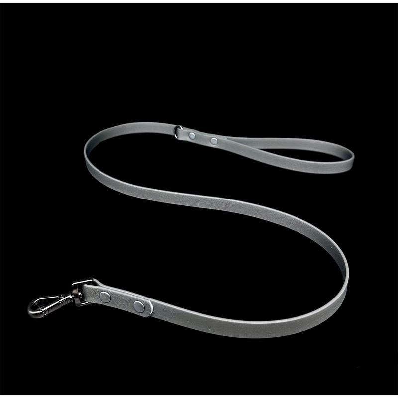Biothane Dog Lead | Strong Webbing with Waterproof Rubber Coating | Sizes from S to L | All colours available 1