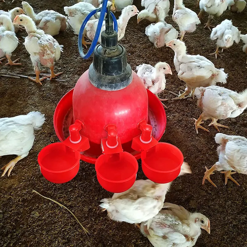 1PC Automatic Chicken Water Cup Waterer Poultry Drinking Bowl Feeder Drinker Tool 3