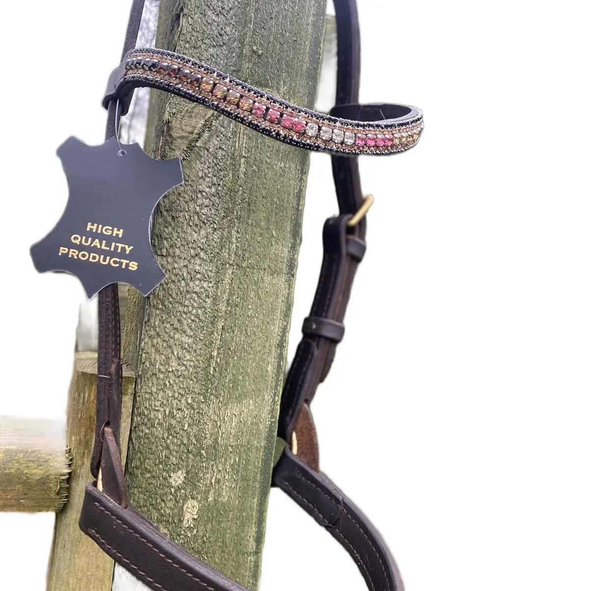 Crystal Horse Browband “ Rainbow “