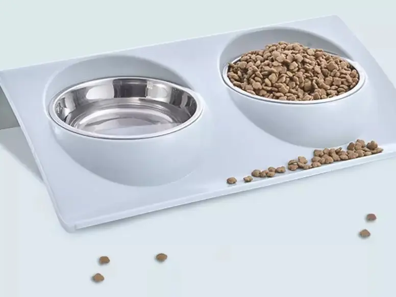 Dog Bowl Cat Bowl Reside Double Pet Feeder Anti Sickness Bowl for Food and Water 2