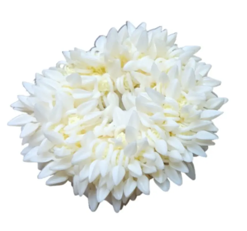 Wedding Gajra, Scrunchie Gajra Bracelet, Hand Gajra, Indian Wedding Floral Jewelry Gajra, Mogra Gajra, Elastic Gajra for Hair 5