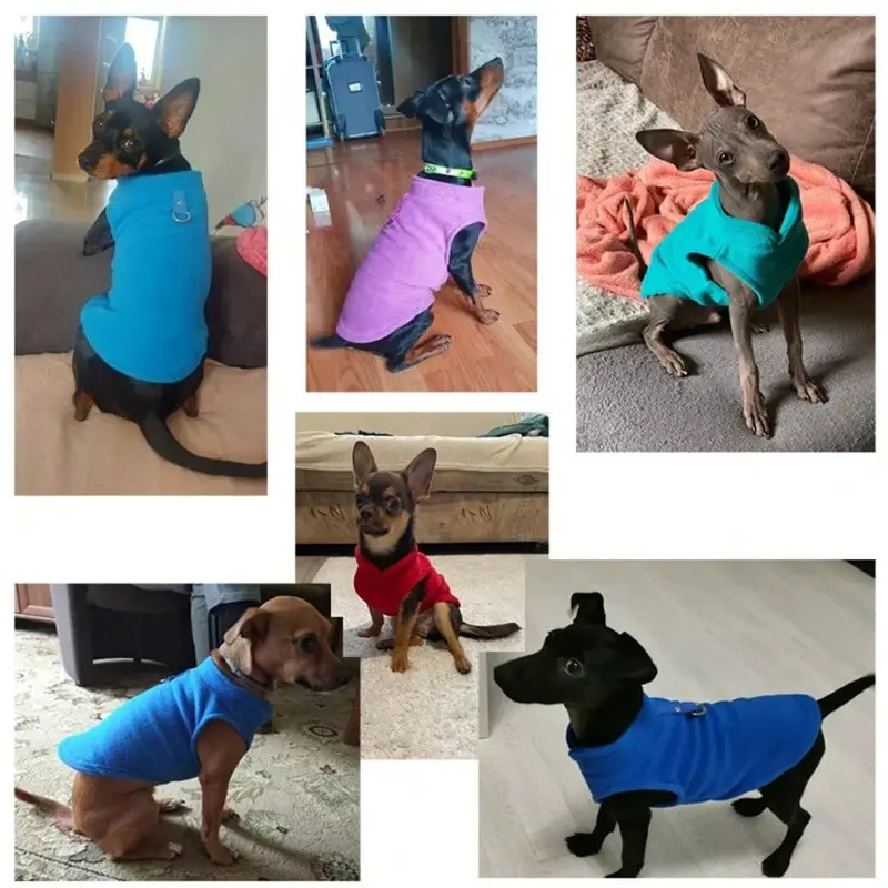 Winter Fleece Pet Dog Clothes Puppy Clothing French Bulldog Coat Pug Costumes Jacket For Small Dogs Chihuahua Vest Yorkie Kitten 2