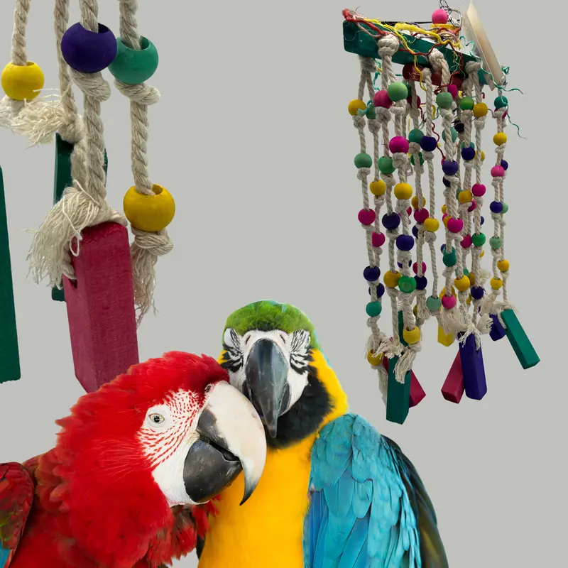 849 Rain Drops Parrot Birds Toys Chew Hanging Swing bird 0