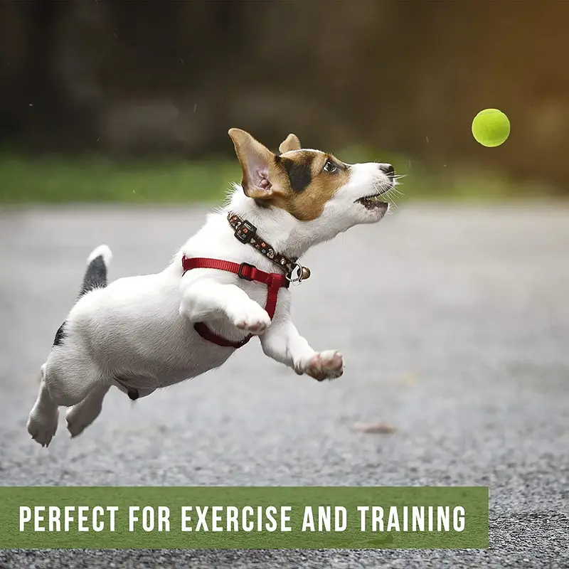 Pack of 6 Tennis Balls, Sport Play Dog Toy Ball, Great For Lessons, Practice, Throwing Machines & Playing with Pets 4