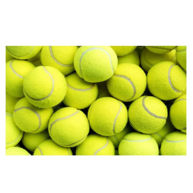 24 Pack Tennis Balls for Indoor and Outdoor Play 2