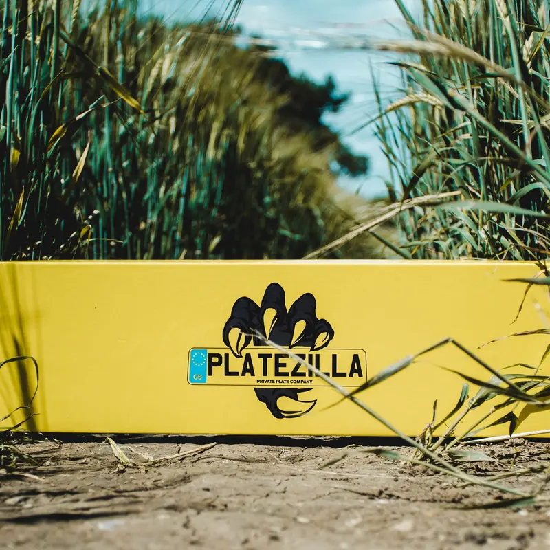 Luxury Number Plate Gift Box by PlateZilla - Holds 2 Plates, Standard/Gel/3D/4D/Short, Available with/without Logo, Next Day Delivery 6
