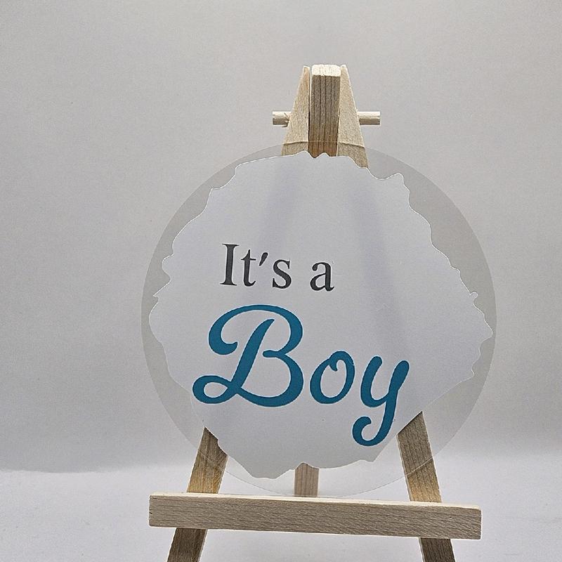 Personalized Baby Gender Sign - 10cm Round Acrylic Disc (Pink/Blue) - Decor 2