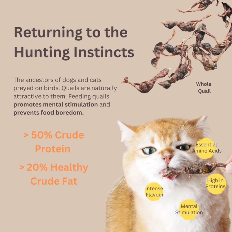 Furmily Freeze-Dried Quail Pet Treat 30g 3