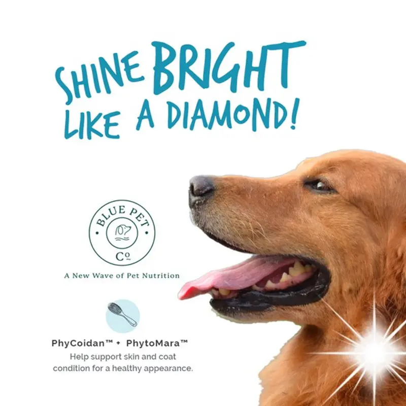 Blue Pet GoShine Skin & Coat Supplement Chicken 90g 30 pieces 8