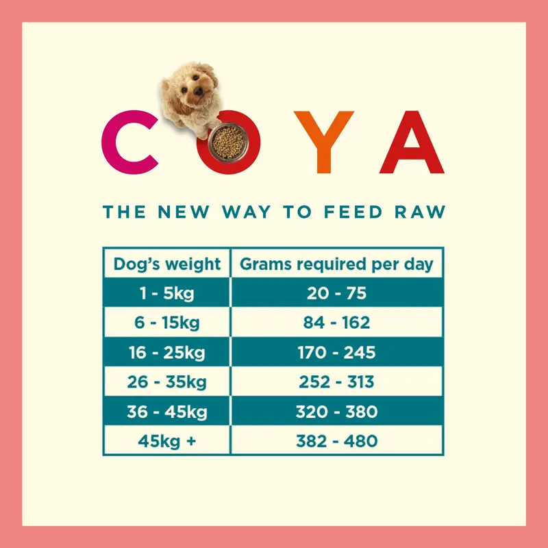 COYA Fish Freeze-Dried Raw Main Meal (150g) 4