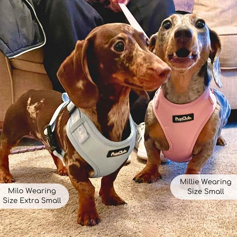 Adjustable Harness - Pastel Pink 5