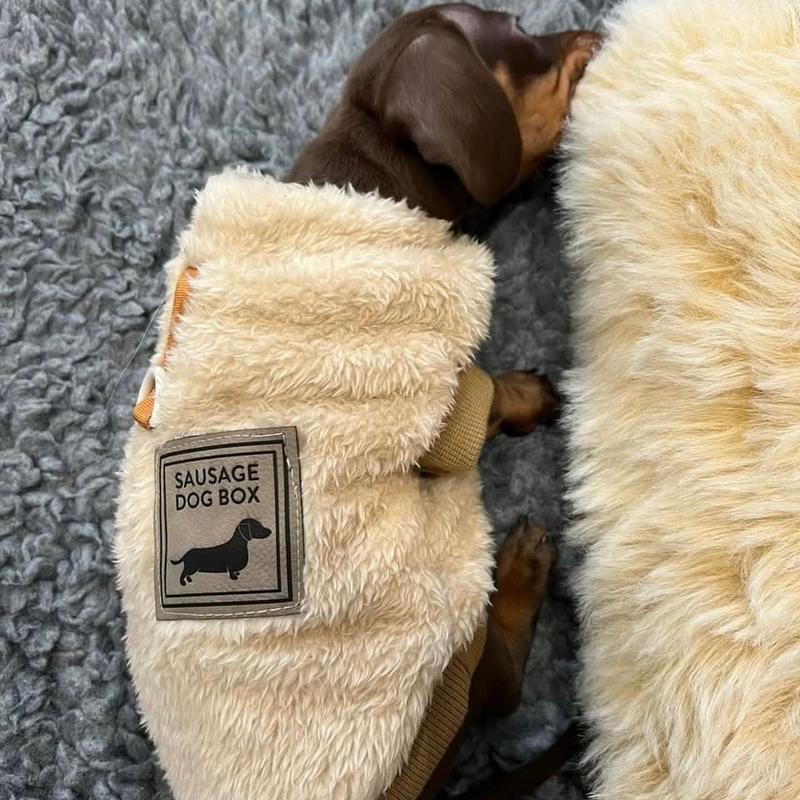 XXS Tiny Puppy Snuggle Dachshund Fleece - 20cm / 8inch Back | Sausage Dog Box 5