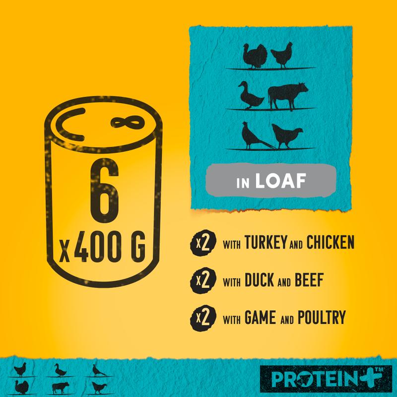 Pedigree Dog Food Tins | Protein + Plus (25% Extra Protein) | Complete Wet Food for Adult Dogs | High Quality, Natural Ingredients | Bulk Buy Deals Available | Turkey, Chicken, Duck, Beef, Game & Poultry Flavours in Pate Style Loaf 1