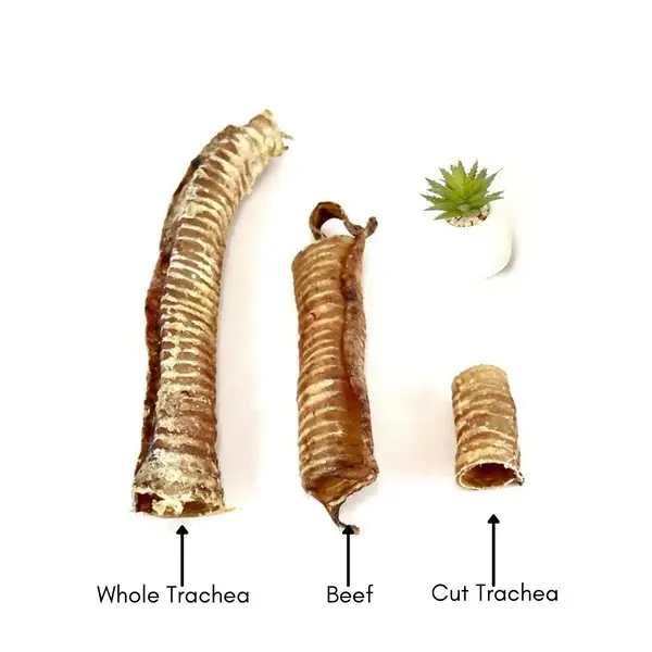Beef Cut Trachea - Natural Dog Treats 3